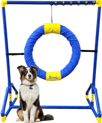 Blue and yellow dog agility tire jump equipment