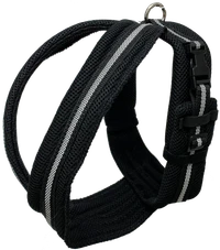 Padded reflective dog harness for outdoor activities