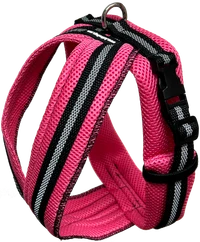Lightweight padded mesh dog walking harness