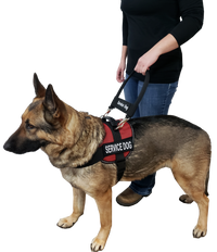 12" Nylon Clip-on Bridge Handle w/Service Dog ID Band