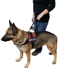Lightweight service dog bridge handle for dual D-ring harnesses