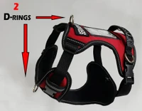Close-up of a red ActiveDogs service dog harness showing heavy-duty webbing, reflective trim, buckle, and D-ring.