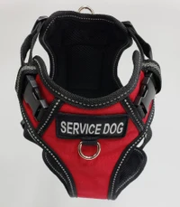 Padded service dog harness with breathable mesh lining and adjustable straps for a secure, comfortable fit.