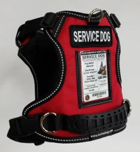 ActiveDogs no-pull service dog harness 707578 with padded construction, ID window, SERVICE DOG patch, D-rings, and adjustable straps.