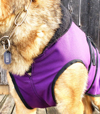 Cold Weather Service Dog Coat