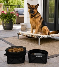 Leak resistant portable dog water bowl