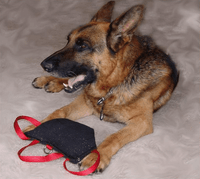 Dog Bite Tug Pillow with Handles