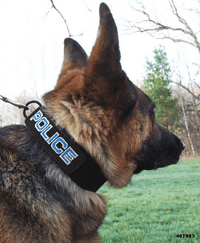 2" Police Dog Patch Collar
