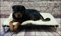 Raised Dog Bed Double Layer Hi-loft Sherpa Pad