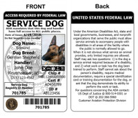 Service dog ID card and holder