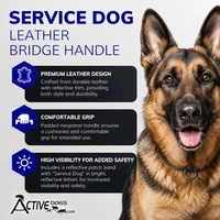 Snap-on Service Dog bridge handle