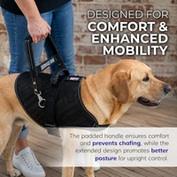 Leather bridge handle for mobility harness