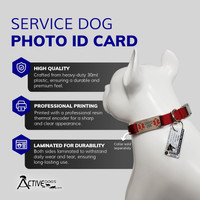 Service dog registry key tags