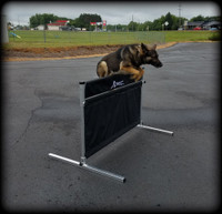 Lightweight IPG/Schutzhund Pendel Hurdle Jump