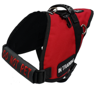 Custom Chest Strap Identification Cover