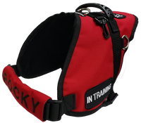 Chest Strap Identification Cover - All Colors - Custom Text