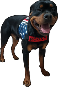 Custom Identification Cover for Dog Vest