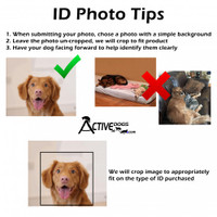 Service Dog Handler ID Card with Digital Copy