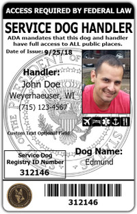 Service dog handler identification card