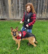 Service dog handler ID card