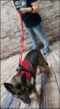 Adjustable Service Dog Leash Message Wrap