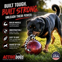 Interactive weighted dog toy