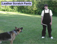 Dog Training Scratch Pants