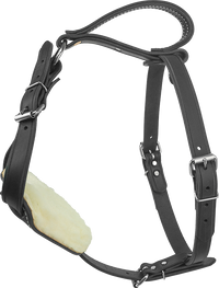 Padded Leather Dog Harness