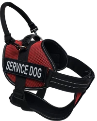 Service Dog harness kit with identification accessories