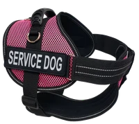ActiveDogs Service Dog starter kit with bridge handle and patches