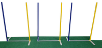 Agility Competition Weave Poles - plus 2x2 Training System
