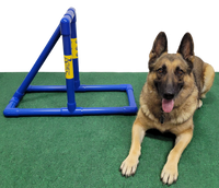 Agility Dog Walk Ramp Supports