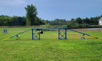 Agility PVC Deluxe Double Dog Walk Bases w/Side Ramps
