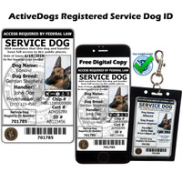 Laminated service dog photo IDs