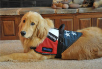 Patriotic Service Dog Vest