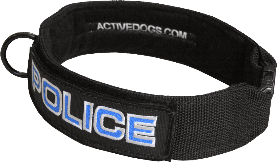 Embroidered Custom Patch Dog Collar, 2" Wide
