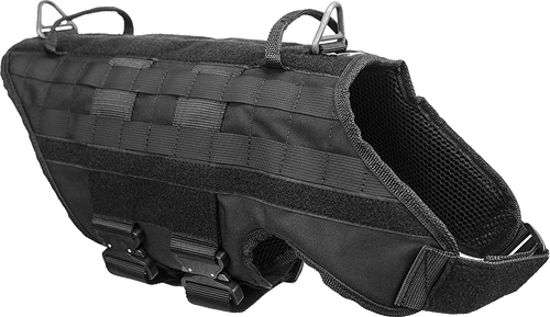 Molle Vest