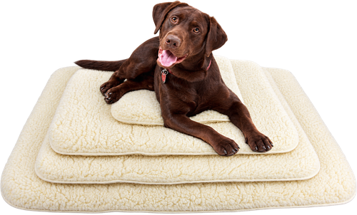 ActiveDogs.com Orthopedic Hi-Loft Sherpa Fleece Natural Dog Bed, 2 Layer Comfort Washable