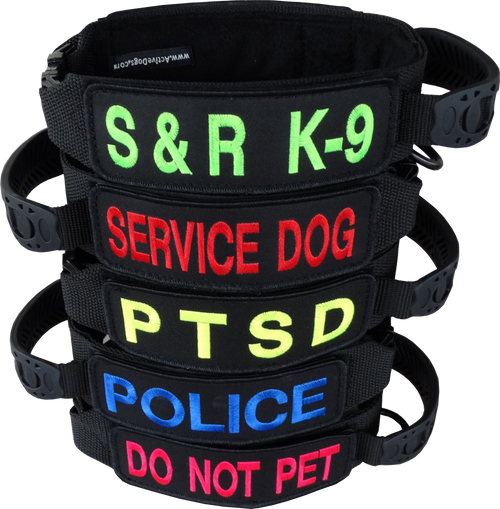 Custom Patch Dog Collar with Handle