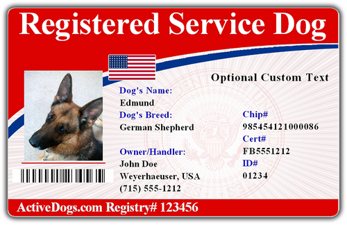 Registry identification card