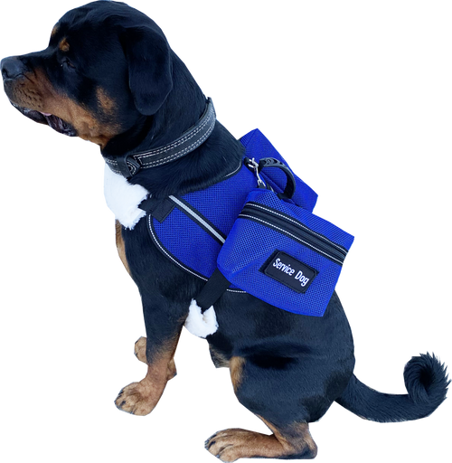 Mesh Working Dog Vest The Ultimate Working Dog Mesh Vest