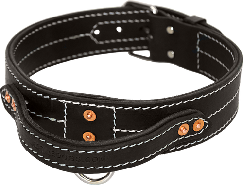 Thick Leather Collar w/Handle