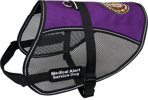 Personalized Service Dog Hybrid Mesh Vest