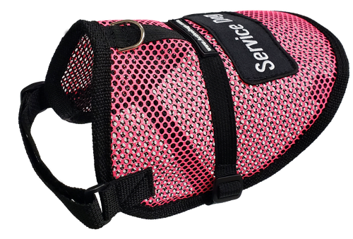 citronella dog collar