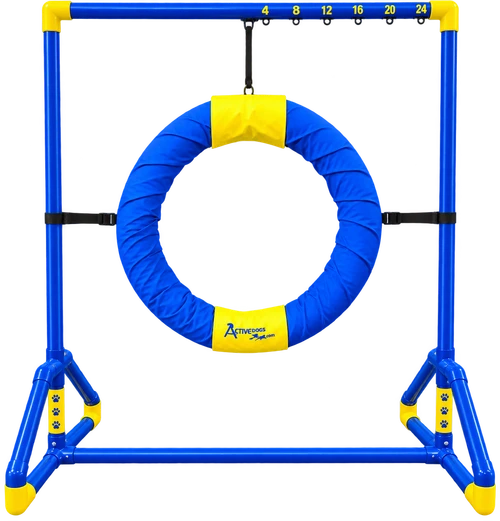 ActiveDogs agility competition tire jump blue and yellow