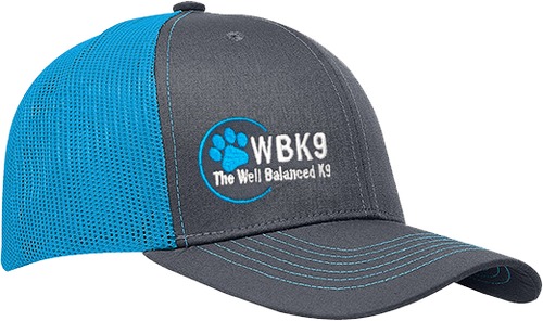 Professional logo trucker hat