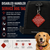 Service dog access tag