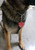 Engraved service dog travel tag
