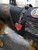 Service dog harness tag