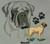 Mastiff